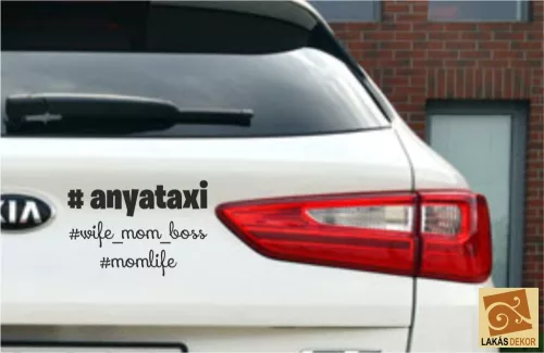 Anyataxi autósmatrica
