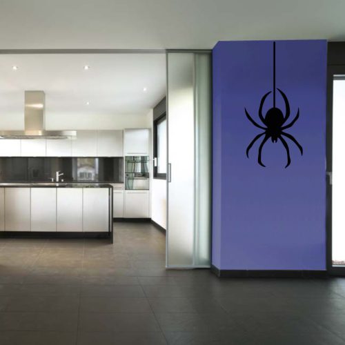 Pók falmatrica 1