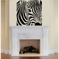 Zebra falmatrica 2