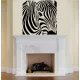Zebra falmatrica 2