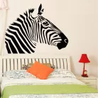 Zebra falmatrica 3