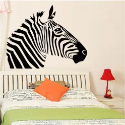 Zebra falmatrica 3