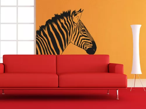 Zebra falmatrica 3