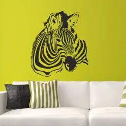 Zebra falmatrica 4