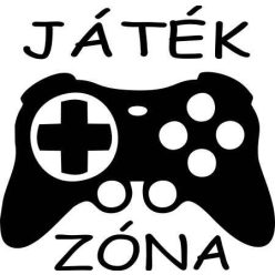 Kontroller gamer falmatrica