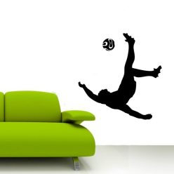 Focista 5 falmatrica