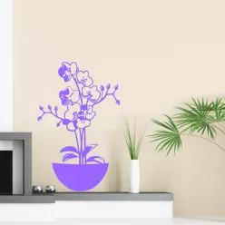   Orchidea falmatrica – elegancia és nyugalom otthonod falán
