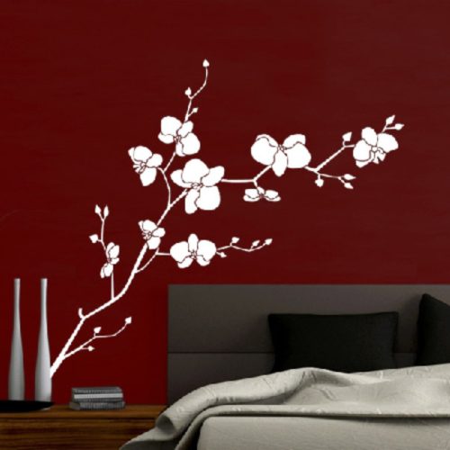 Orchidea falmatrica – romantikus és elegáns virágdísz otthonodba