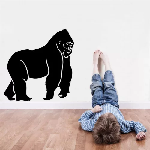 Gorilla falmatrica