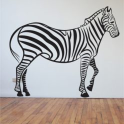 Zebra falmatrica 5