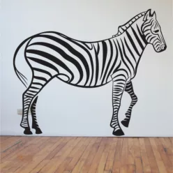 Zebra falmatrica 5