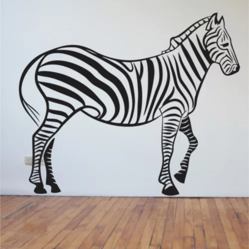 Zebra falmatrica 5
