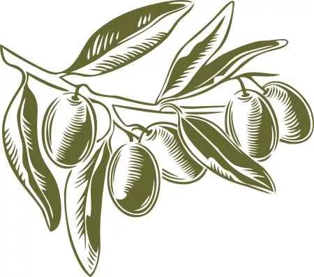 Olajbogyó falmatrica – mediterrán elegancia otthonod falán
