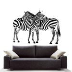 Zebrano falmatrica, Zebra