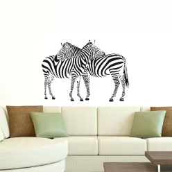 Zebrano falmatrica, Zebra
