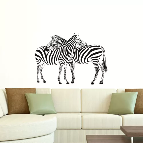 Zebrano falmatrica, Zebra