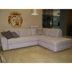 Argentin Dog falmatrica