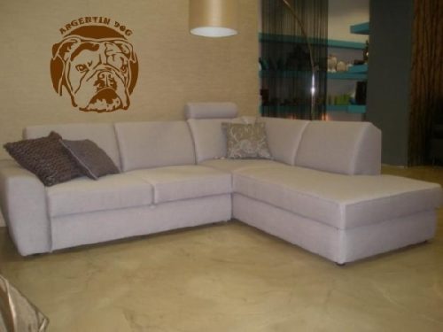 Argentin Dog falmatrica