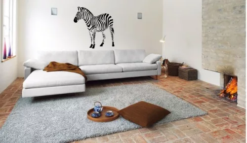 Zebra falmatrica 6