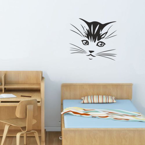 Macskafej falmatrica