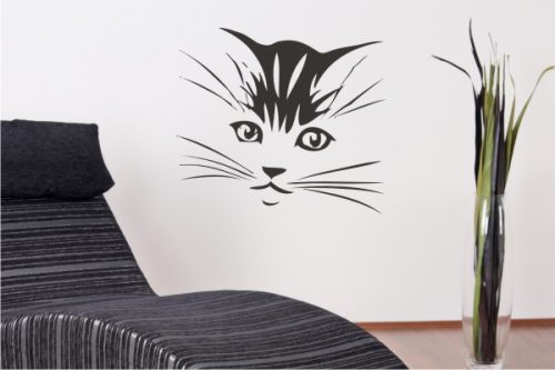 Macskafej falmatrica