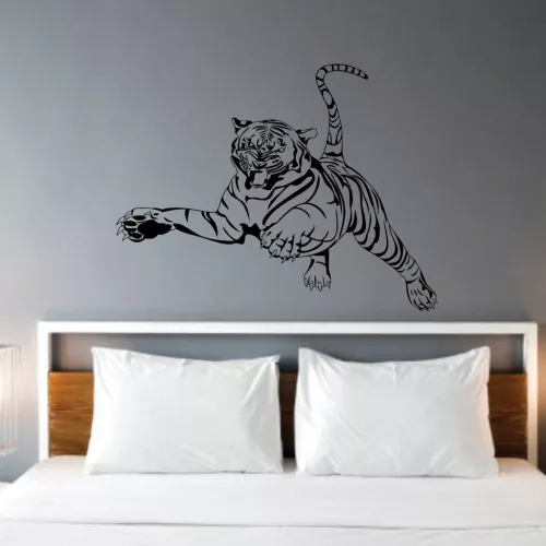 Tigris falmatrica 3