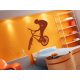 BMX 2 falmatrica