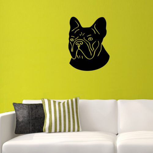Francia Bulldog falmatrica 2