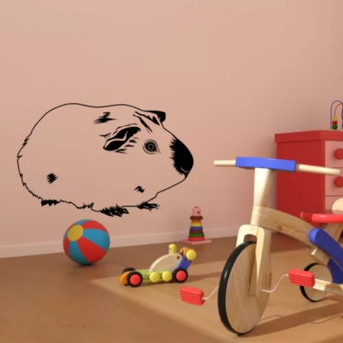 Tengerimalac falmatrica