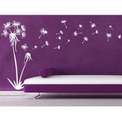 Pitypang dupla falmatrica