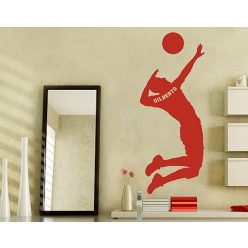 Röplabdás falmatrica