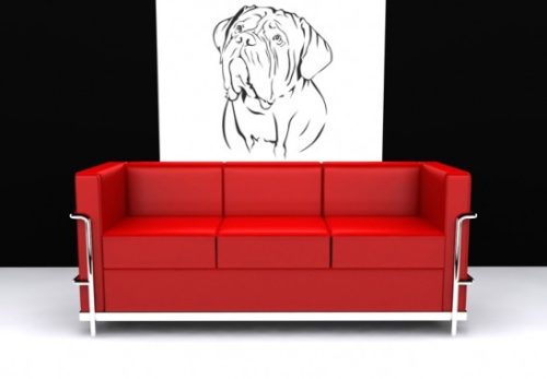 Bordeaux kutya falmatrica