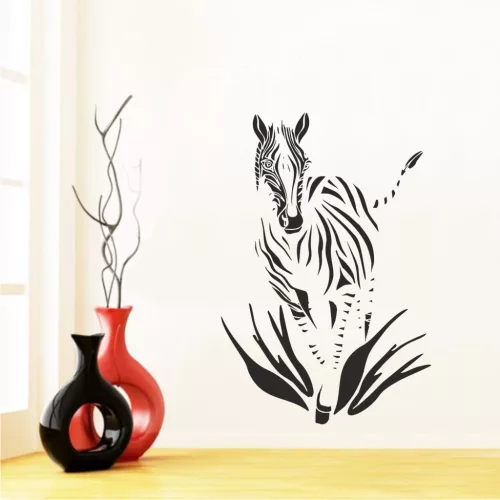 Zebra falmatrica 9