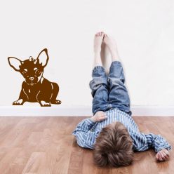 Chihuahua kislány falmatrica