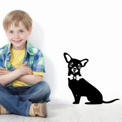 Chihuahua kisfiú falmatrica