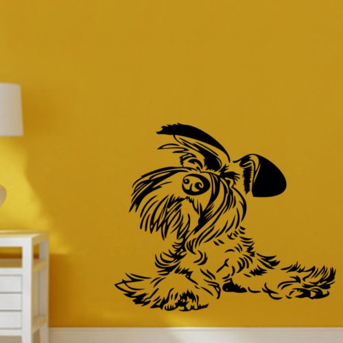 Yorkshire terrier falmatrica