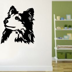 Shetlandi Juhászkutya falmatrica