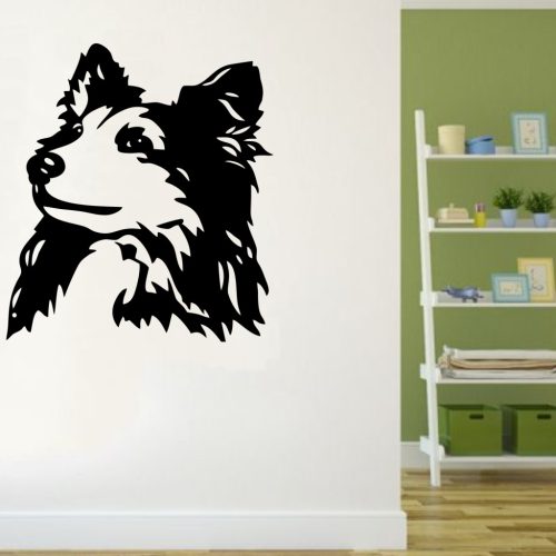 Shetlandi Juhászkutya falmatrica