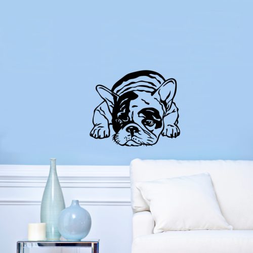 Francia Bulldog fekvő falmatrica