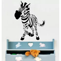 Zebra falmatrica 10