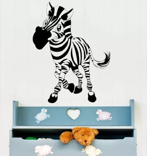 Zebra falmatrica 10
