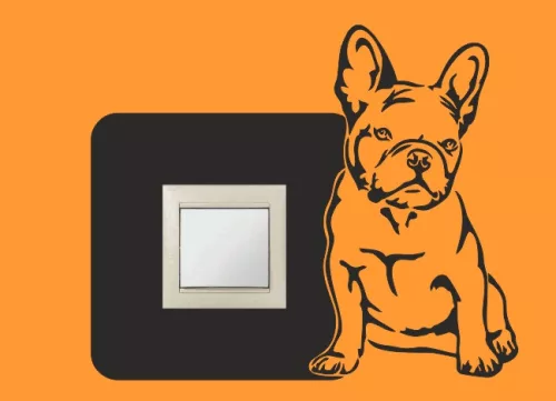 Bulldog (154)