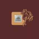 Nemes Sörény – Prémium Lovas kapcsolómatrica (160)