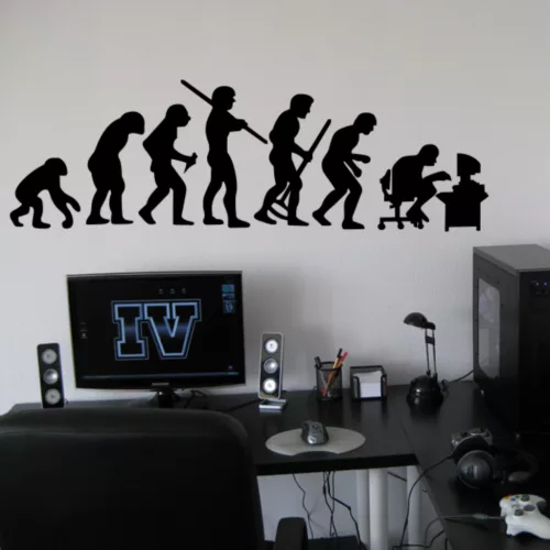 Evolution 1 falmatrica