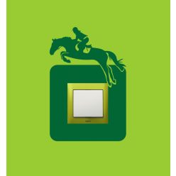 Lovaglás kapcsolómatrica 351