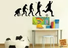 Evolution Foci falmatrica