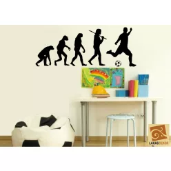 Evolution Foci falmatrica