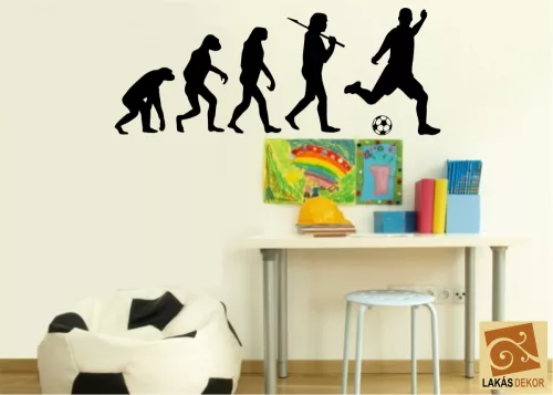 Evolution Foci falmatrica