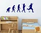 Evolution Foci falmatrica