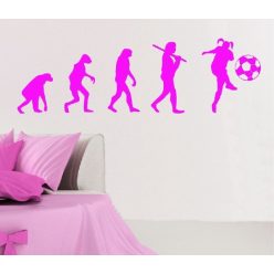 Evolution Focis csaj falmatrica